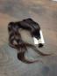 Preview: 50 cm, 37 Gramm europäisches Rohhaar für Extensions GNN5074
