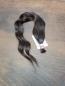 Preview: 55 cm, 55 Gramm europäisches Rohhaar für Extensions GNN5538