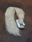 Preview: 53 cm, 143 Gramm europäisches Schnitthaar für Extensions P557