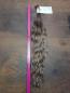 Preview: 54 cm, 78 Gramm europäisches Schnitthaar für Extensions PG5511