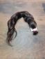 Preview: 50 cm, 97 Gramm europäisches Rohhaar für Extensions GNN5059