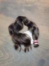 48 cm, 60 Gramm europäisches Schnitthaar für Extensions GN5066